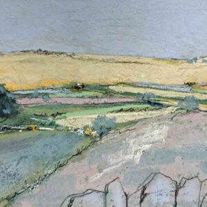 Derbyshire Summer Landscape