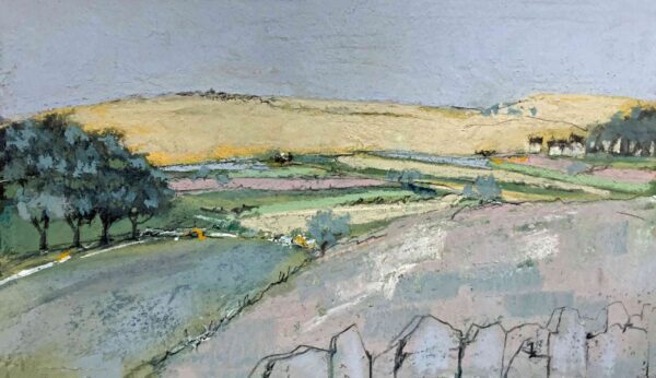 Derbyshire Summer Landscape