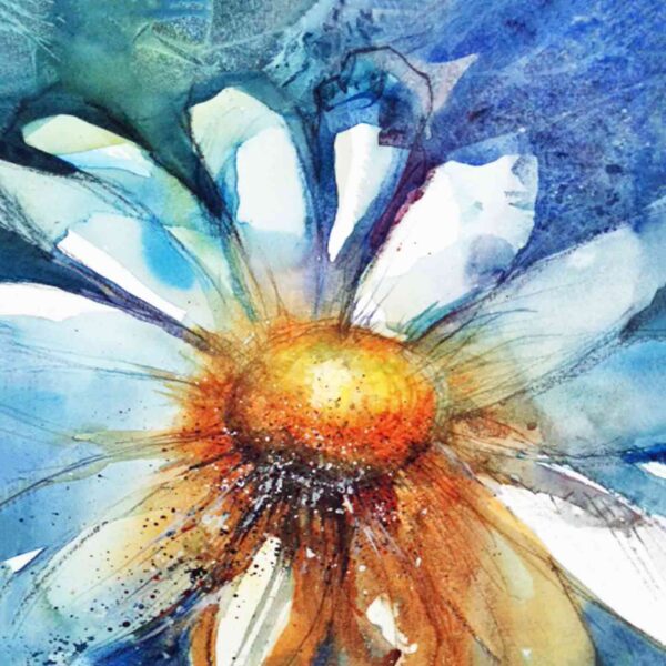 Daisy 1
