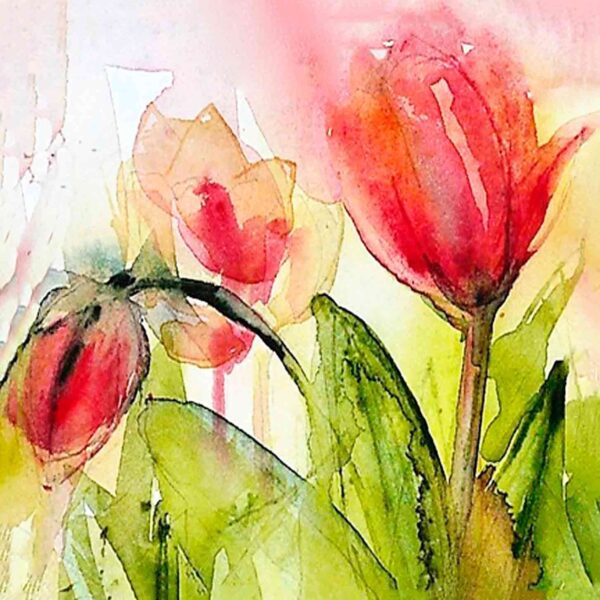Red Tulip 1