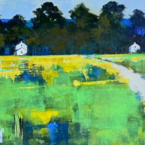 Beyond the Back Garden