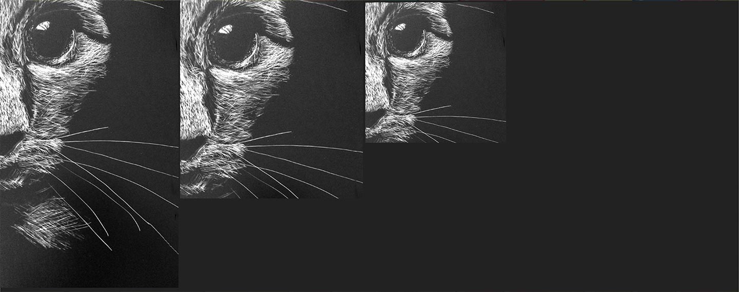Ann Cracknell Studio - About